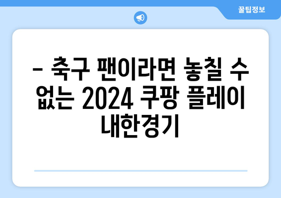 2024 쿠팡 플레이 토트넘/뮌헨/K리그 내한경기 직관 후기| 현장 열기와 꿀팁 대방출 | 축구, 경기 후기, 직관 정보