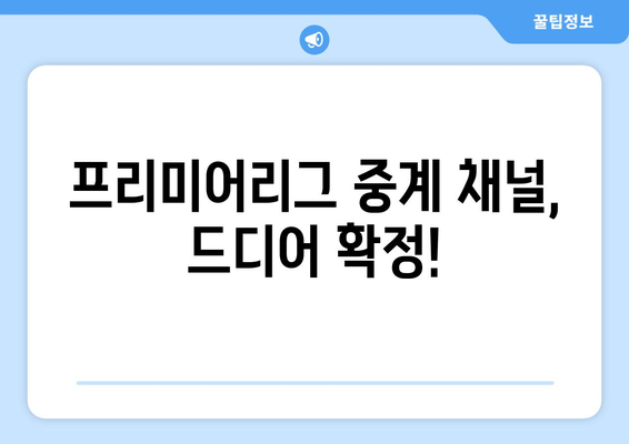 프리미어리그, 11조 국내 중계권 계약 완료! 어떤 채널에서 시청할 수 있을까? | 프리미어리그 중계, 축구, 스포츠