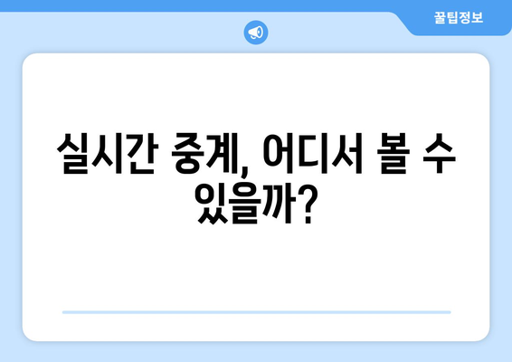 토트넘 vs 뮌헨, 경기 시간 & 중계 정보 총정리 | 축구 경기, 실시간 중계, 시청 방법, 하이라이트