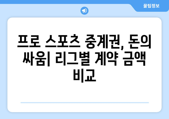프로 스포츠 중계권 계약 금액 비교| 리그별, 종목별, 계약 기간별 분석 | 스포츠 산업, 방송, 계약 규모