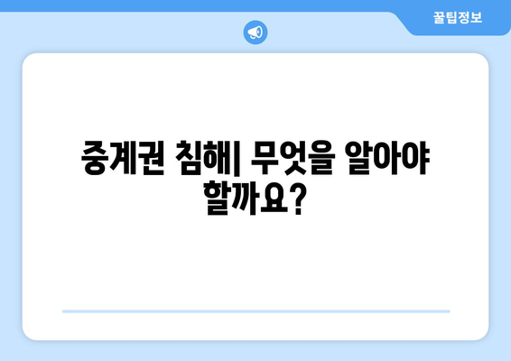 저작권 침해의 한 형태| 중계권 침해 | 저작권,  복제, 배포, 공연, 방송, 전송, 중계권 침해 사례