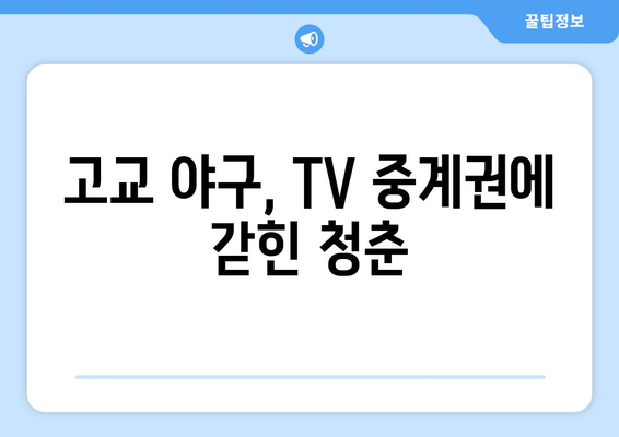 고교 야구 중계권, 생명보다 중시됐나? | TV 중계권 논란, 사회적 파장, 교육 현실