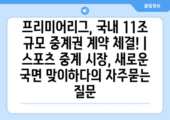 프리미어리그, 국내 11조 규모 중계권 계약 체결! | 스포츠 중계 시장, 새로운 국면 맞이하다