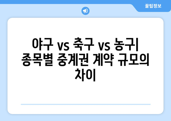 프로 스포츠 중계권 계약 금액 비교| 리그별, 종목별, 계약 기간별 분석 | 스포츠 산업, 방송, 계약 규모
