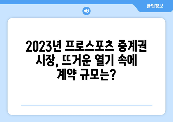 2023년 주요 프로스포츠 중계권 계약 금액 비교|  축구, 야구, 농구, 배구 | 스포츠 중계, 계약 규모, 시장 동향