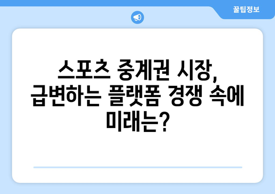 2023년 주요 프로스포츠 중계권 계약 금액 비교|  축구, 야구, 농구, 배구 | 스포츠 중계, 계약 규모, 시장 동향