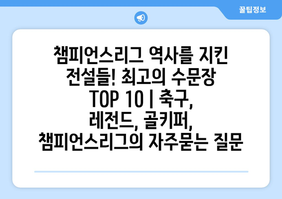 챔피언스리그 역사를 지킨 전설들! 최고의 수문장 TOP 10 | 축구, 레전드, 골키퍼, 챔피언스리그