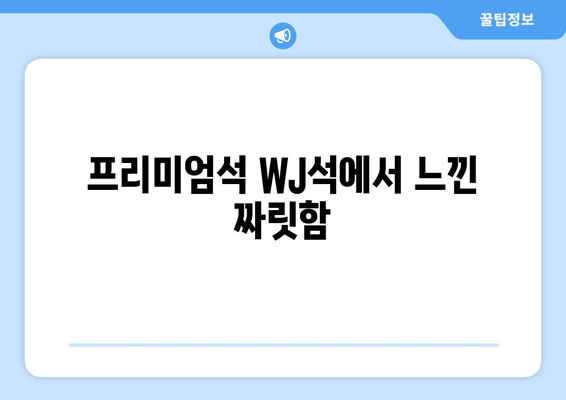 쿠팡플레이 뮌헨 토트넘 직관 후기| 프리미엄석 WJ석, 뉴진스 시축 & 하프타임 공연 | 뮌헨 원정, 축구 경기, K팝