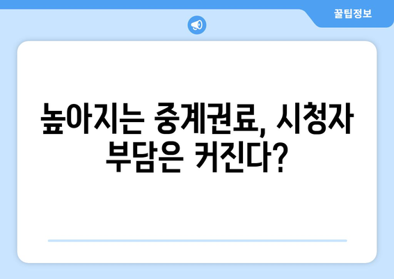 파리올림픽 중계권 독점 경쟁, 시청자 접근성은 어떻게? |  스포츠, 방송, 시청자 권리