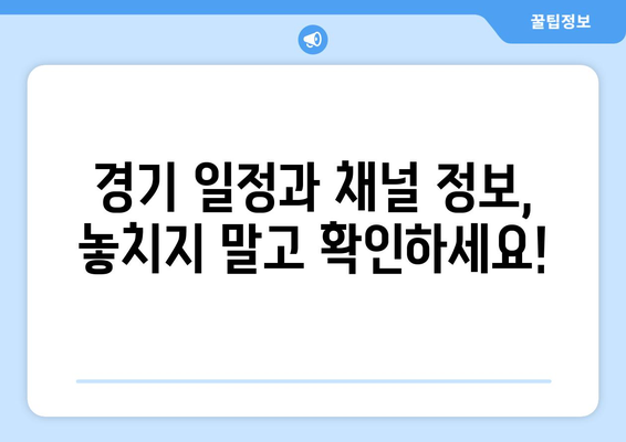 경주 전국 중학 야구 선수권 대회, SPOTV 생중계 시청 안내 | 중계 일정, 채널 정보, 주요 선수