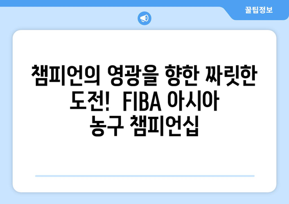 2024 FIBA 아시아 농구 챔피언스리그 개최| 일정, 참가팀, 경기장 정보 | 농구, 아시아 챔피언십, FIBA