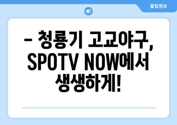 청룡기 전국고교야구선수권 대회, SPOTV NOW로 생생하게! 모바일 생중계 시청 가이드 | 청룡기, 고교야구, SPOTV, 스포티비 나우, 생중계, 시청 방법