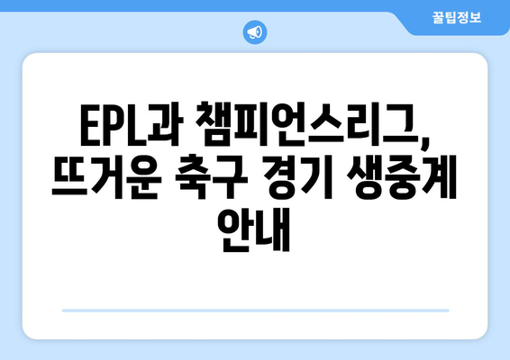 뮌헨 vs 토트넘 손흥민, 김민재 출전! 중계 일정, 명단, 시청 안내 | EPL, 챔피언스리그, 축구 중계