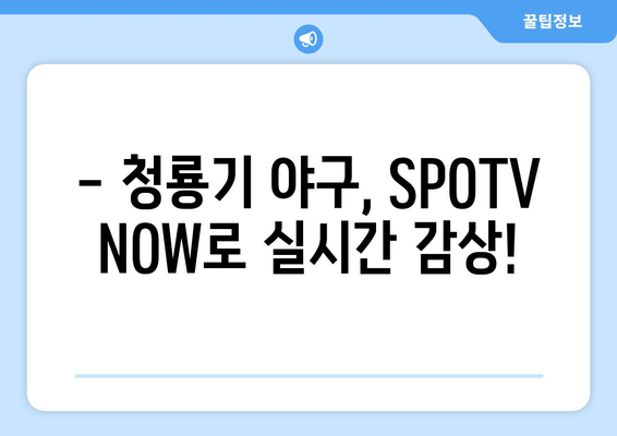 청룡기 전국고교야구선수권 대회, SPOTV NOW로 생생하게! 모바일 생중계 시청 가이드 | 청룡기, 고교야구, SPOTV, 스포티비 나우, 생중계, 시청 방법