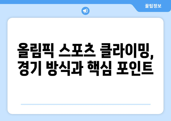 이도현, 올림픽 스포츠 클라이밍 출전! 중계 일정 & 경기 소개 | 스포츠 클라이밍, 올림픽, 이도현 선수