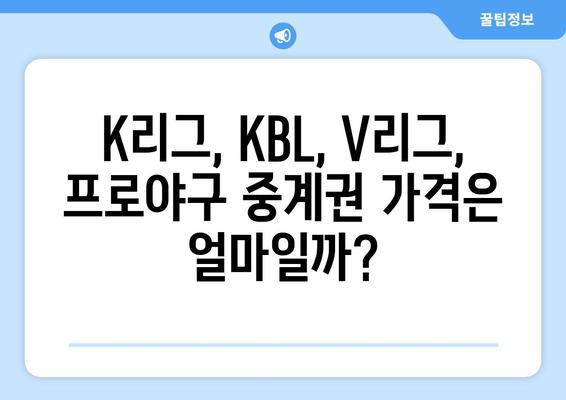 국내 프로 스포츠 중계권 금액 비교| 2023년 최신 현황 & 주요 경향 | K리그, KBL, V리그, 프로야구