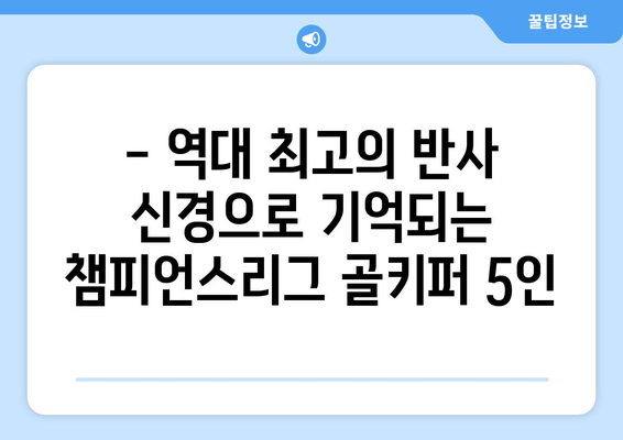 챔피언스리그 역사상 가장 뛰어난 반사 신경을 가진 골키퍼 5인 | 레전드 골키퍼, 챔스리그 명장면, 역대 최고