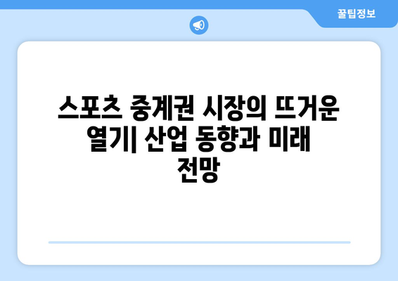 프로 스포츠 중계권 계약 금액 비교| 리그별, 종목별, 계약 기간별 분석 | 스포츠 산업, 방송, 계약 규모