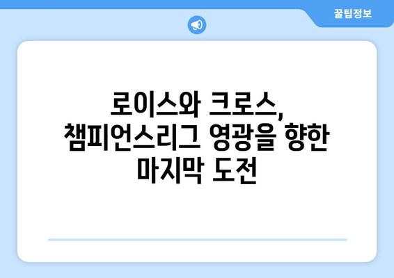 챔피언스리그 결승전| 로이스와 크로스의 마지막 무대, 예상 선발 라인업 대공개 | 챔피언스리그, 결승전, 선발 명단, 로이스, 크로스
