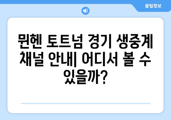 뮌헨 토트넘 프리시즌 마지막 경기 중계 정보| 시간, 채널, 시청 방법 | 축구 중계, 프리시즌, 경기 정보