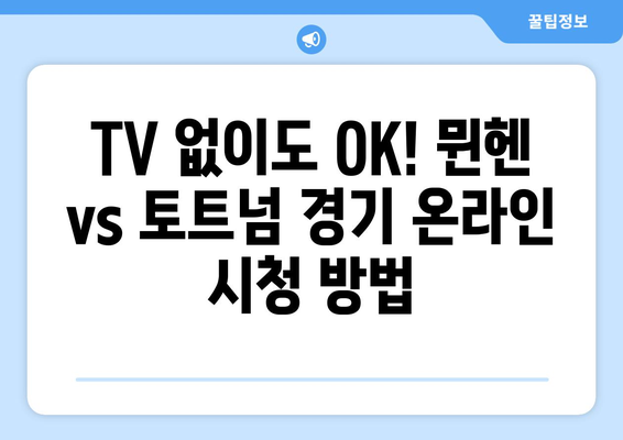 뮌헨 vs 토트넘 프리시즌 마지막 경기 생중계 시청 안내 | 채널, 시간, 온라인 시청