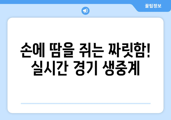 청룡기 야구 결승전 생중계| 실시간 경기 시청 안내 | 청룡기, 야구, 결승, 생중계, 시청