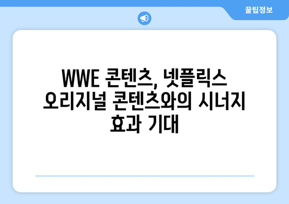 넷플릭스의 WWE 프로레슬링 중계권 투자| 전략과 미래 전망 | 스포츠 스트리밍, 콘텐츠 확장, 시장 경쟁