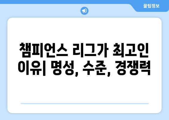 유럽 축구의 서열| 컨퍼런스 리그, 유로파 리그, 챔피언스 리그 비교 분석 | 축구, UEFA, 클럽 대회, 순위