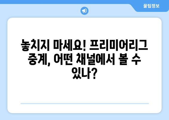 프리미어리그, 11조 국내 중계권 계약 완료! 어떤 채널에서 시청할 수 있을까? | 프리미어리그 중계, 축구, 스포츠