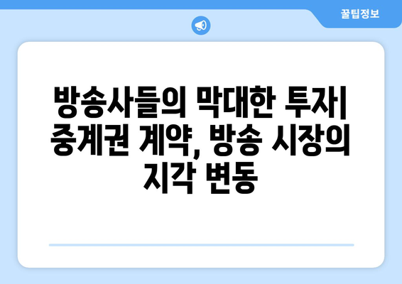 프로 스포츠 중계권 계약 금액 비교| 리그별, 종목별, 계약 기간별 분석 | 스포츠 산업, 방송, 계약 규모