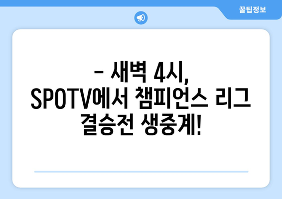 챔피언스 리그 결승전, SPOTV에서 새벽 4시 생중계 | 축구, 유럽 챔피언, 경기 시간, 시청 방법