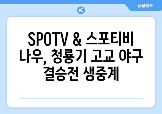 청룡기 고교 야구 결승전, SPOTV & 스포티비 나우 생중계로 함께! | 실시간 경기 시청, 하이라이트, 중계 일정