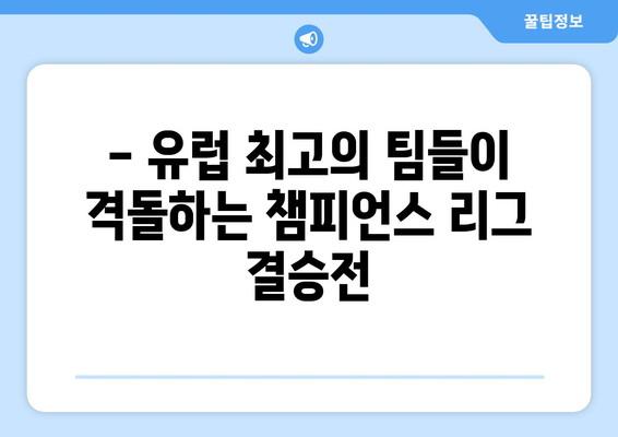 챔피언스 리그 결승전, SPOTV에서 새벽 4시 생중계 | 축구, 유럽 챔피언, 경기 시간, 시청 방법