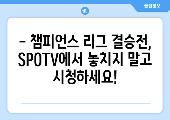 챔피언스 리그 결승전, SPOTV에서 새벽 4시 생중계 | 축구, 유럽 챔피언, 경기 시간, 시청 방법