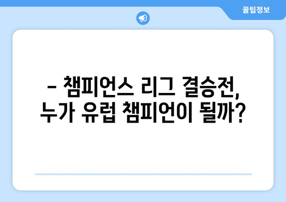 챔피언스 리그 결승전, SPOTV에서 새벽 4시 생중계 | 축구, 유럽 챔피언, 경기 시간, 시청 방법