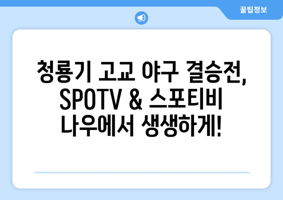 청룡기 고교 야구 결승전, SPOTV & 스포티비 나우 생중계로 함께! | 실시간 경기 시청, 하이라이트, 중계 일정